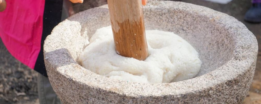 秋季孕妇进补食疗大全-医路上
