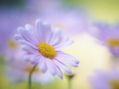 煎药用水要适宜-医路上