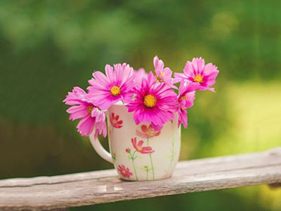 特殊药物的煎煮方法-医路上