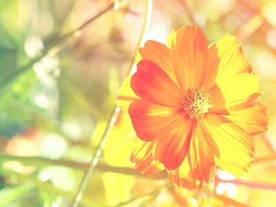 发作性气喘，喉中哮鸣2年-医路上