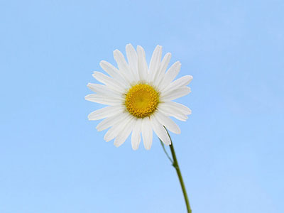 国家卫生健康委办公厅关于印发医疗机构门诊质量管理暂行规定的通知-医路上