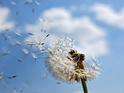 中医医术确有专长人员医师资格考核注册管理暂行办法-医路上