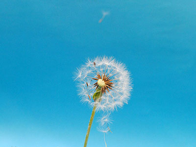 今天我们应该怎样学习中医-医路上