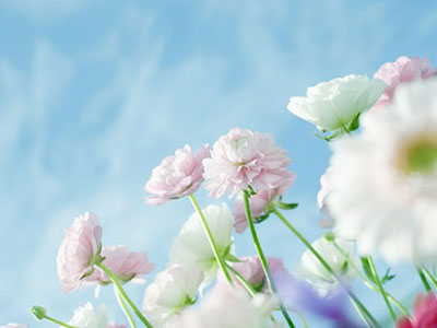 李相安--中国西南西北肛肠协会-医路上