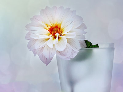 李相安--中国西南西北肛肠协会-医路上