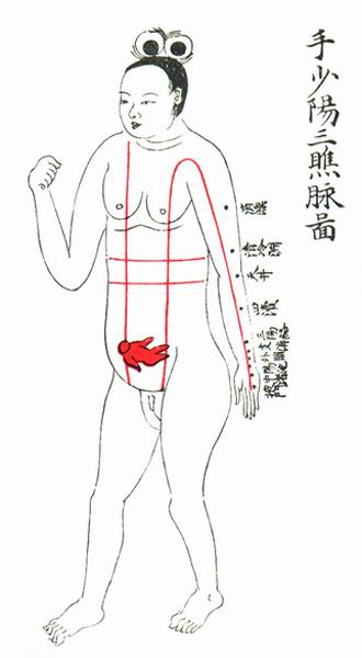 手少阳三焦脉图-医路上