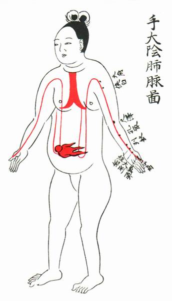 手太阴肺脉图-医路上