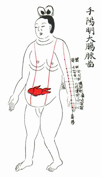 手阳明大肠脉图-医路上