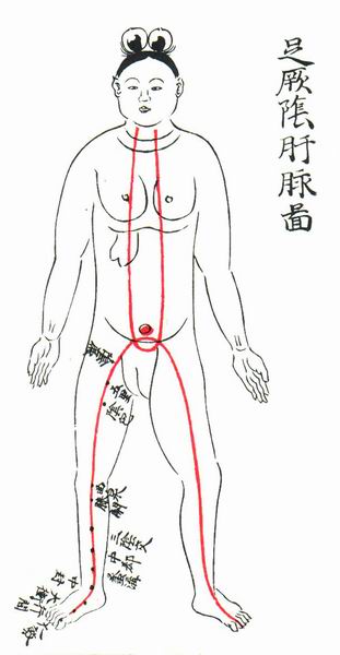 足厥阴肝脉图-医路上
