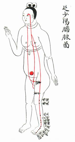 足少阳胆脉图-医路上