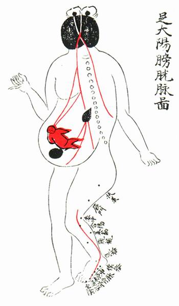 足太阳膀胱脉图-医路上