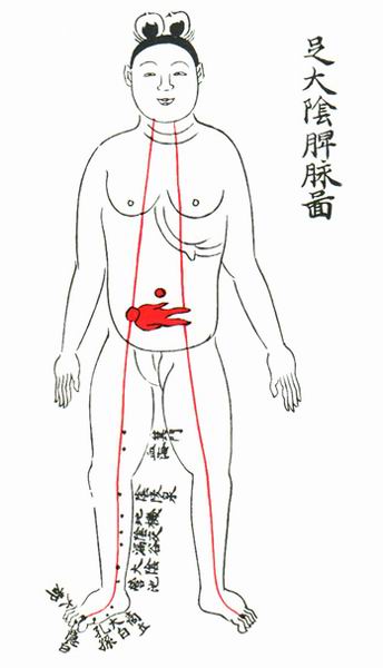 足太阴脾脉图-医路上