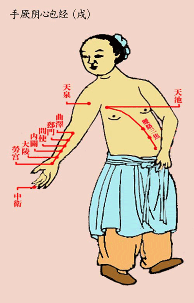 手厥阴心包经(戌)-医路上