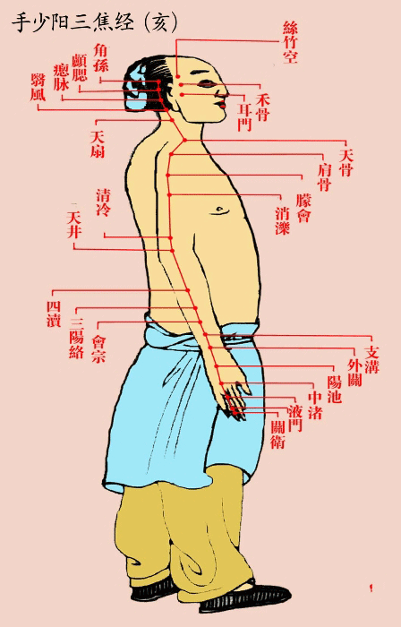 手少阳三焦经(亥)-医路上