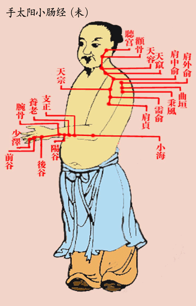 手太阳小肠经(未)-医路上