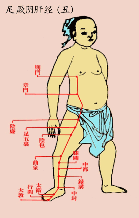 足厥阴肝经(丑)-医路上