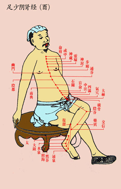 足少阴肾经(酉)-医路上
