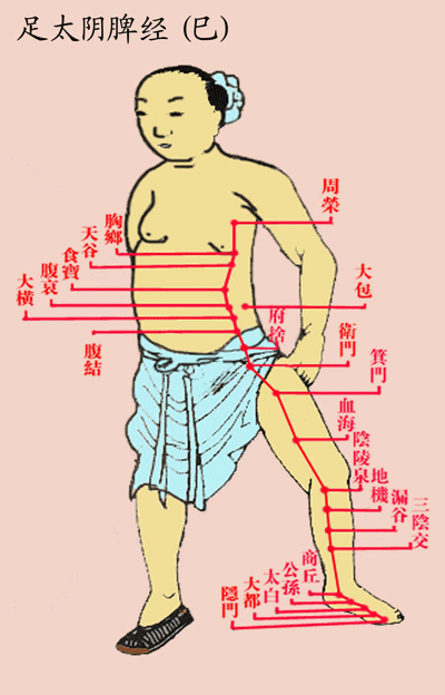 足太阴脾经(古)-医路上