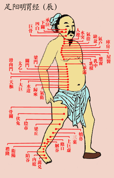 足阳明胃经(古)-医路上