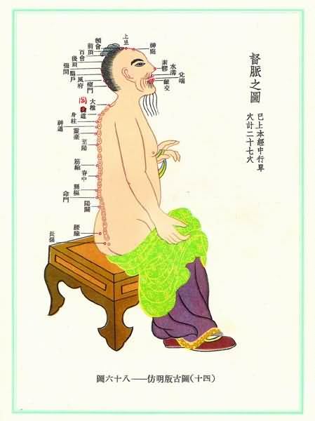 督脉(明)-医路上