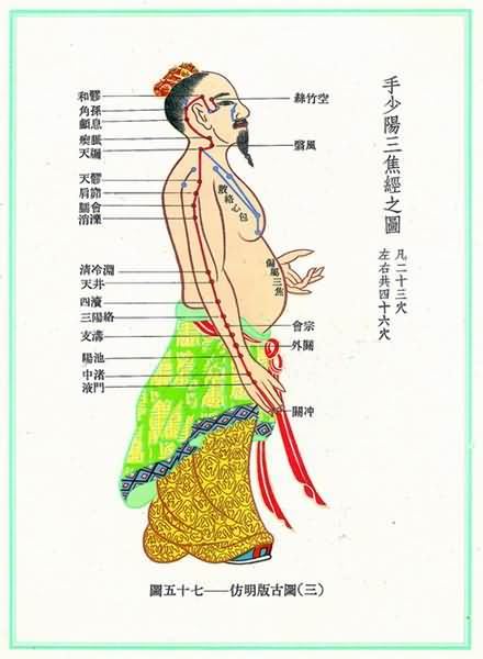 手少阳三焦经(明)-医路上