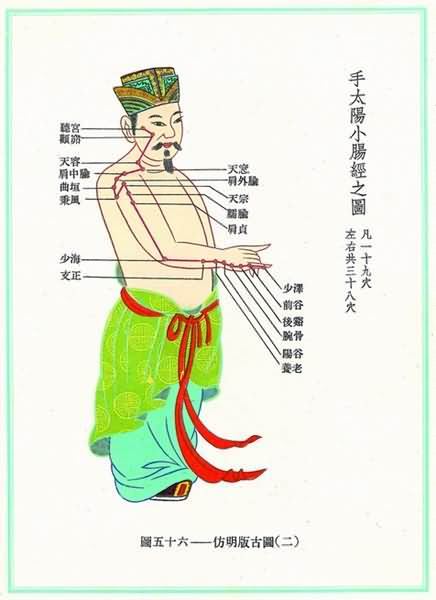 手太阳小肠经(明)-医路上