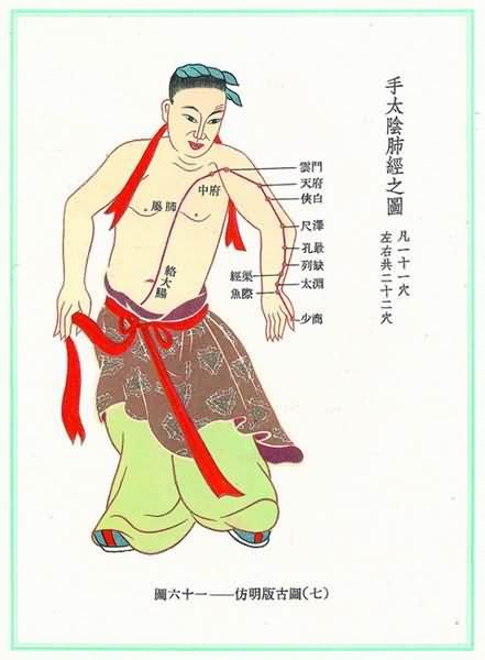 手太阴肺经(明)-医路上