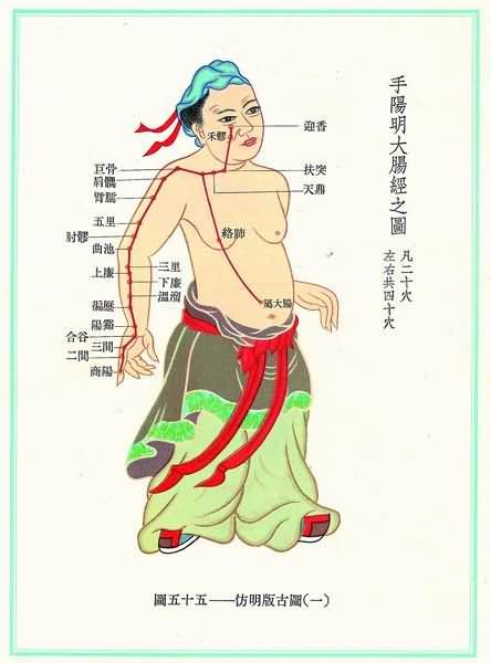 手阳明大肠经(明)-医路上