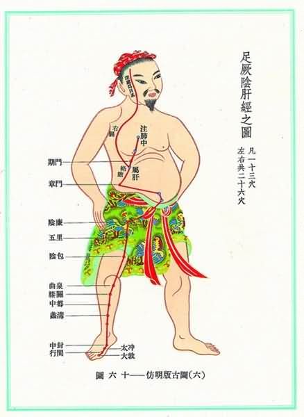 足厥阴肝经(明)-医路上