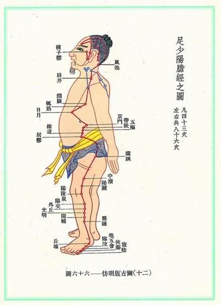 足少阳胆经(明)-医路上