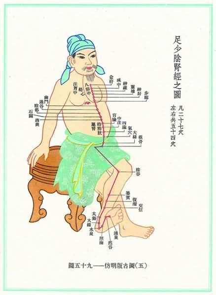 足少阴肾经(明)-医路上