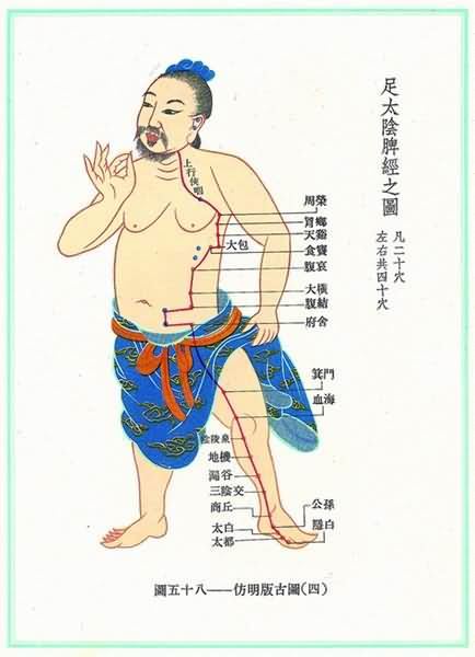 足太阴脾经(明)-医路上