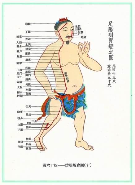 足阳明胃经(明)-医路上