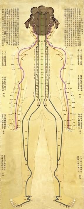 人体背面穴位图(古)-医路上