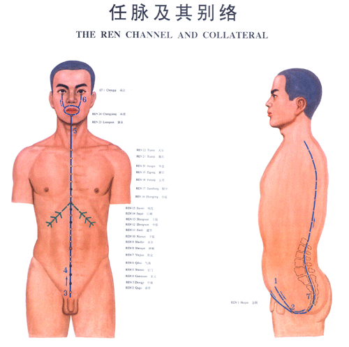 任脉与其别络-医路上