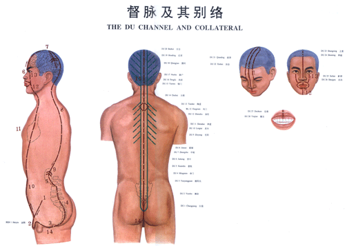 督脉与其别络-医路上