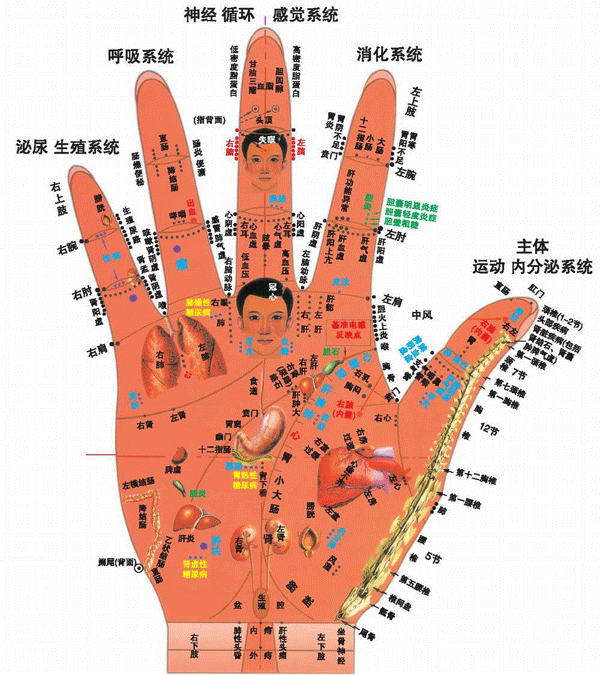 手掌穴位彩图-医路上