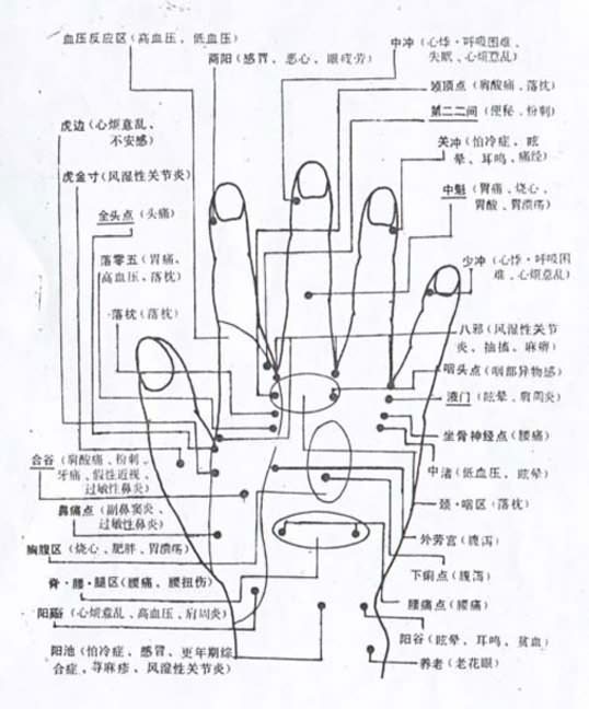 手部穴位图-医路上