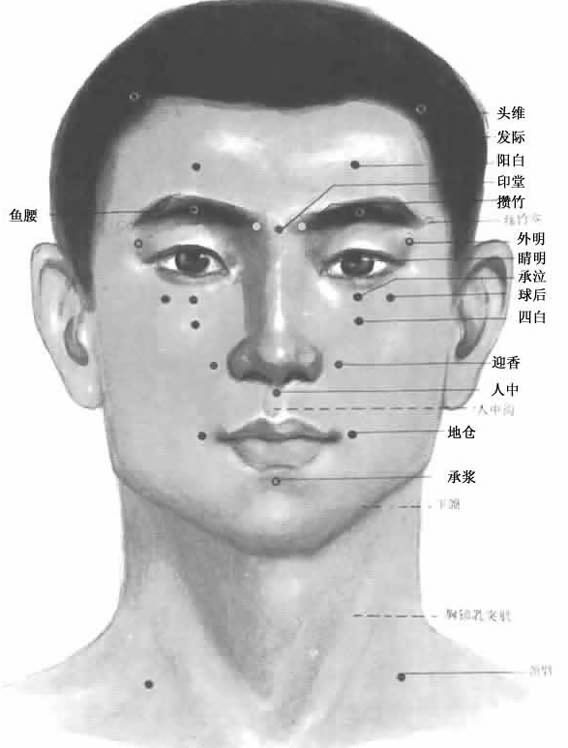 面部正面穴位图-医路上