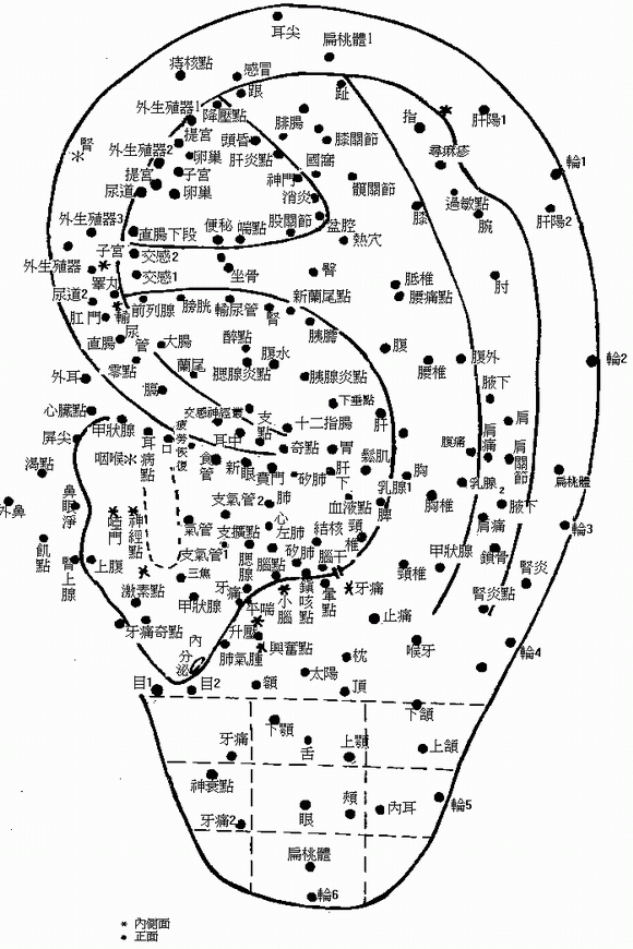 耳穴图-医路上