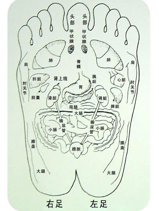 足部穴位图二-医路上