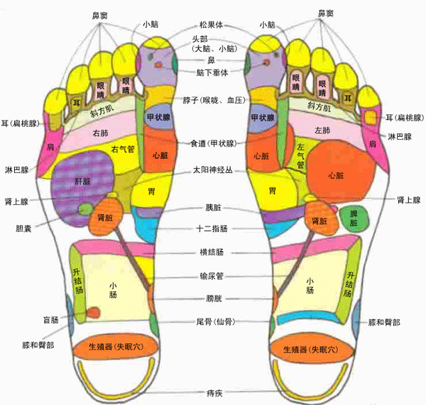 足部穴位图-医路上