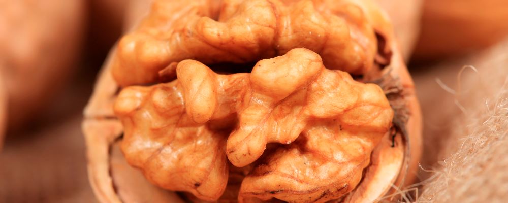 盘点 食物中的“伟哥”-医路上