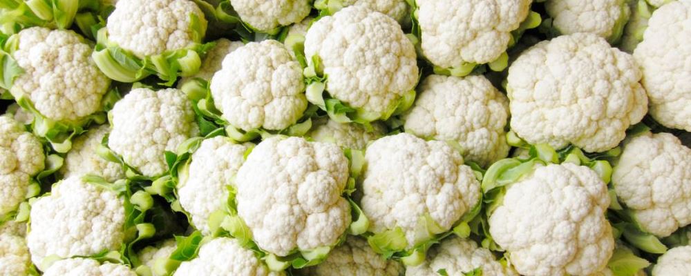 养生菜谱 经典花菜食疗方-医路上