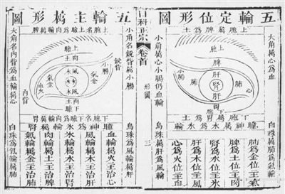 司外揣内辨瞳神-医路上