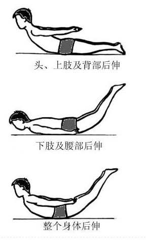 强健椎间盘 常做小燕飞-医路上