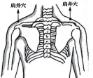 腰酸背痛按肩井-医路上