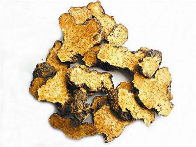 苍术临床上的九大功效-医路上