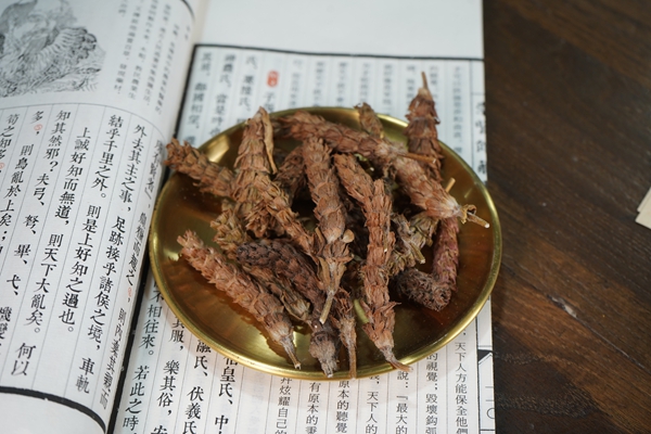 夏枯草和蒲公英泡水喝 对甲状腺结节好吗？-医路上