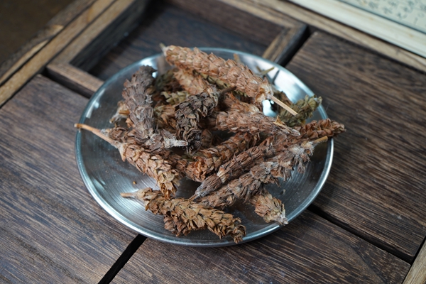 揭秘夏枯草：抗癌之王的传奇魅力-医路上